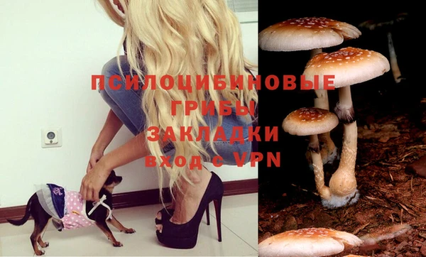 спиды Балахна
